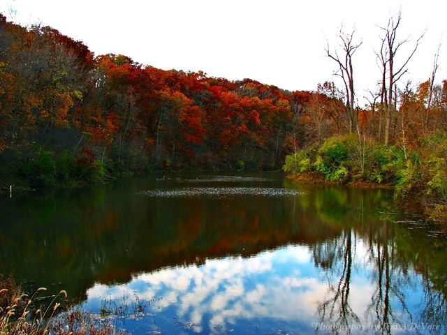 Kickapoo State Park Campgrounds